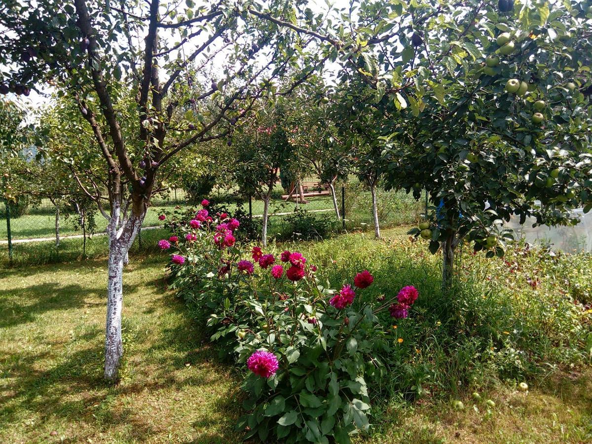 Sunny Paradise Бихач Экстерьер фото